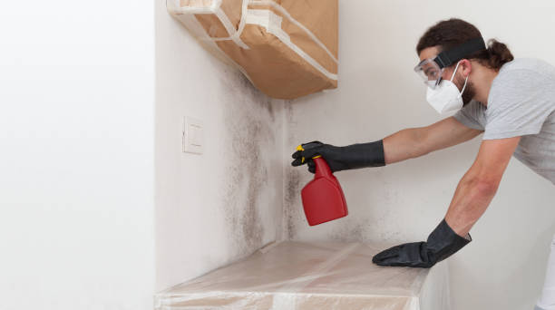 Professional Bathroom Mold Removal technician working in Phoenix, MD